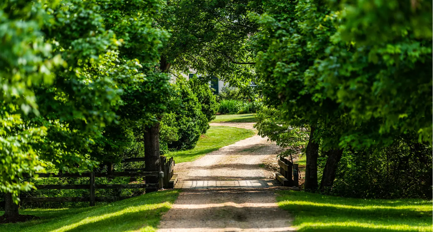 A quiet residential lane of older houses, none of them showing a for-sale board.